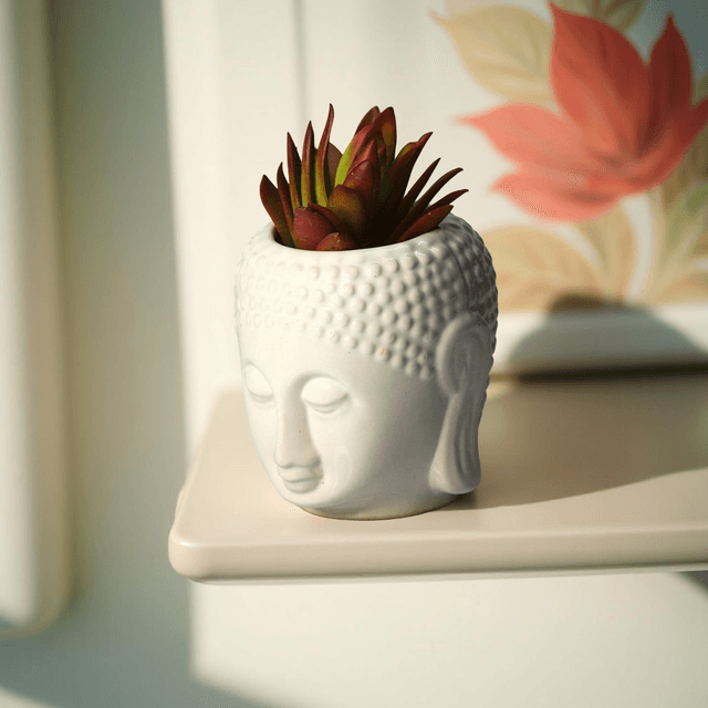Mini Buddha Head Planter